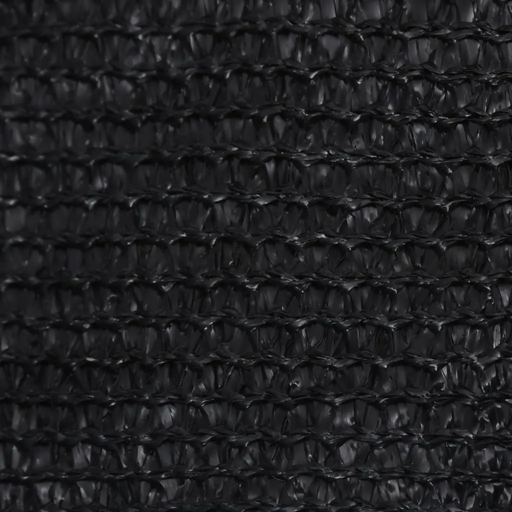 Sunshade Sail 160 g/m² Black 2x2 m HDPE