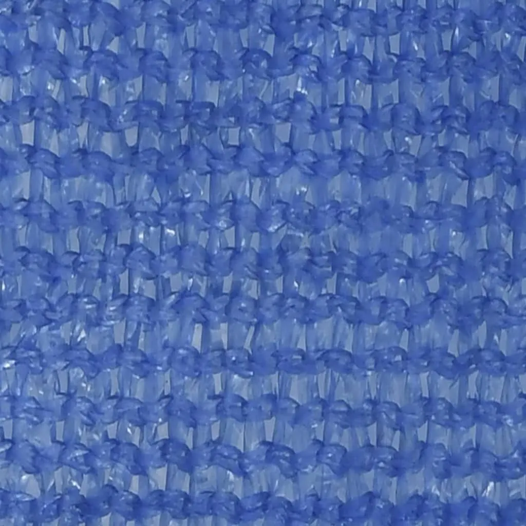 Sunshade Sail 160 g/m² Blue 2.5x3 m HDPE